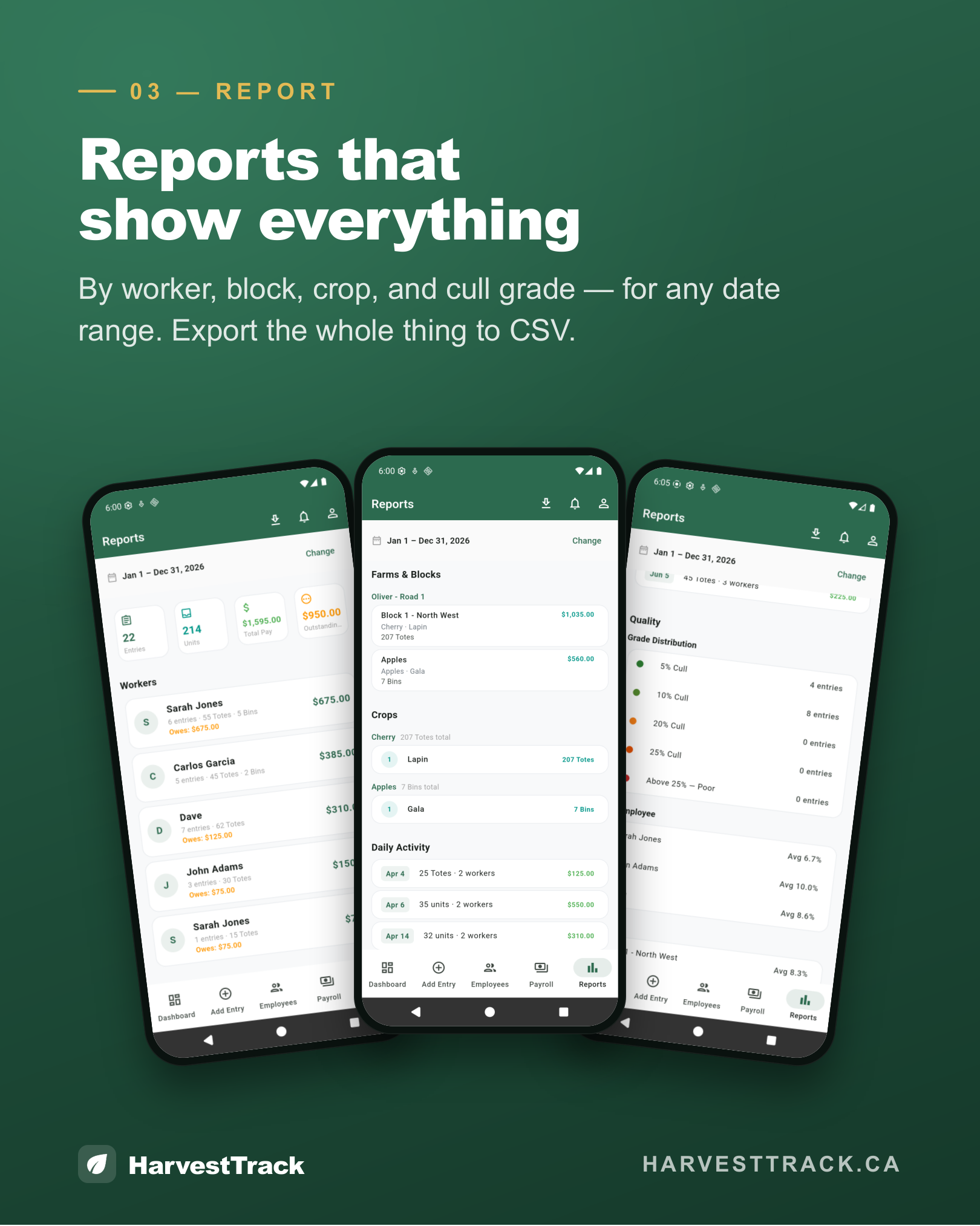 Step 3 — Reports that show everything